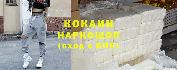стаф Касимов